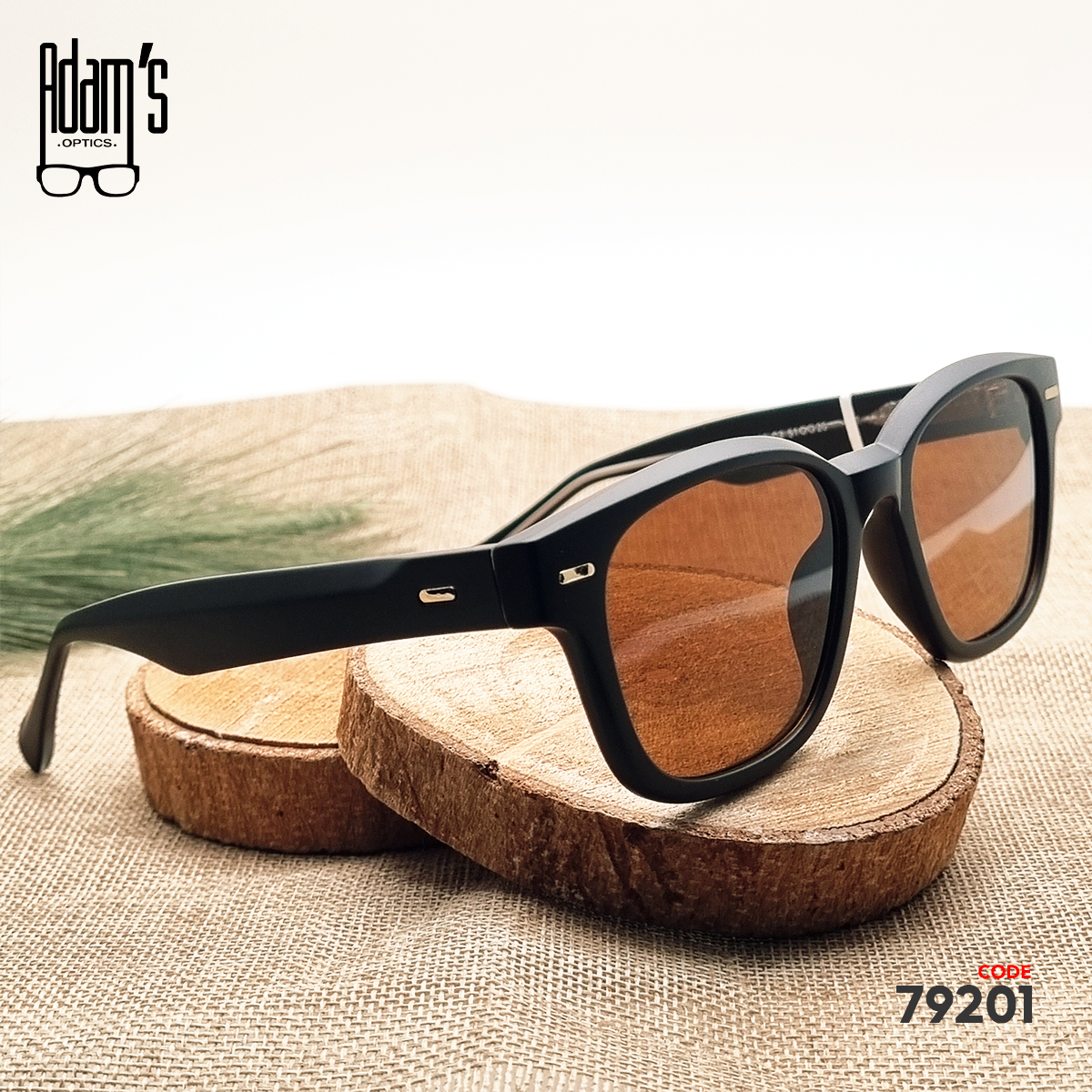 Amber 62108 Square Sunglasses