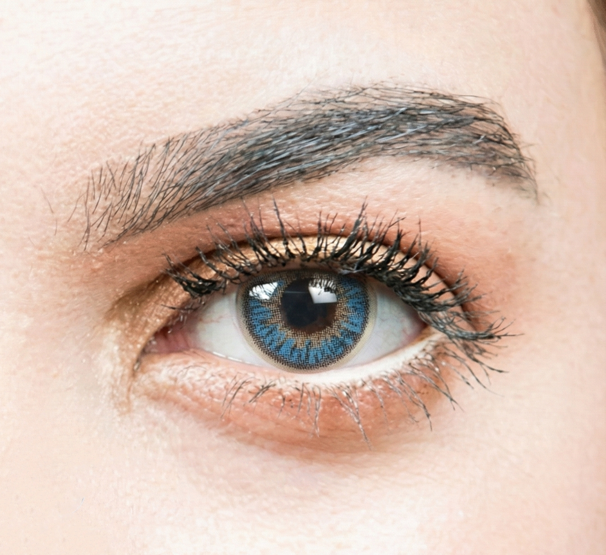 See Color Daily Coloured Contact Lenses