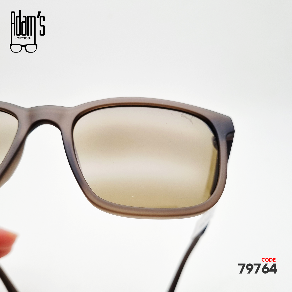 Puma PU0527S Square Sunglasses