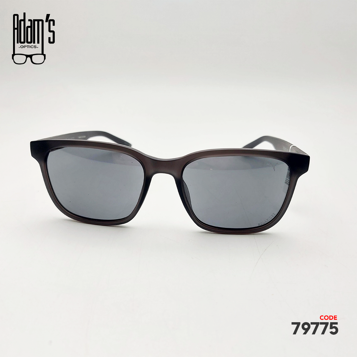 Puma PU0527S Square Sunglasses