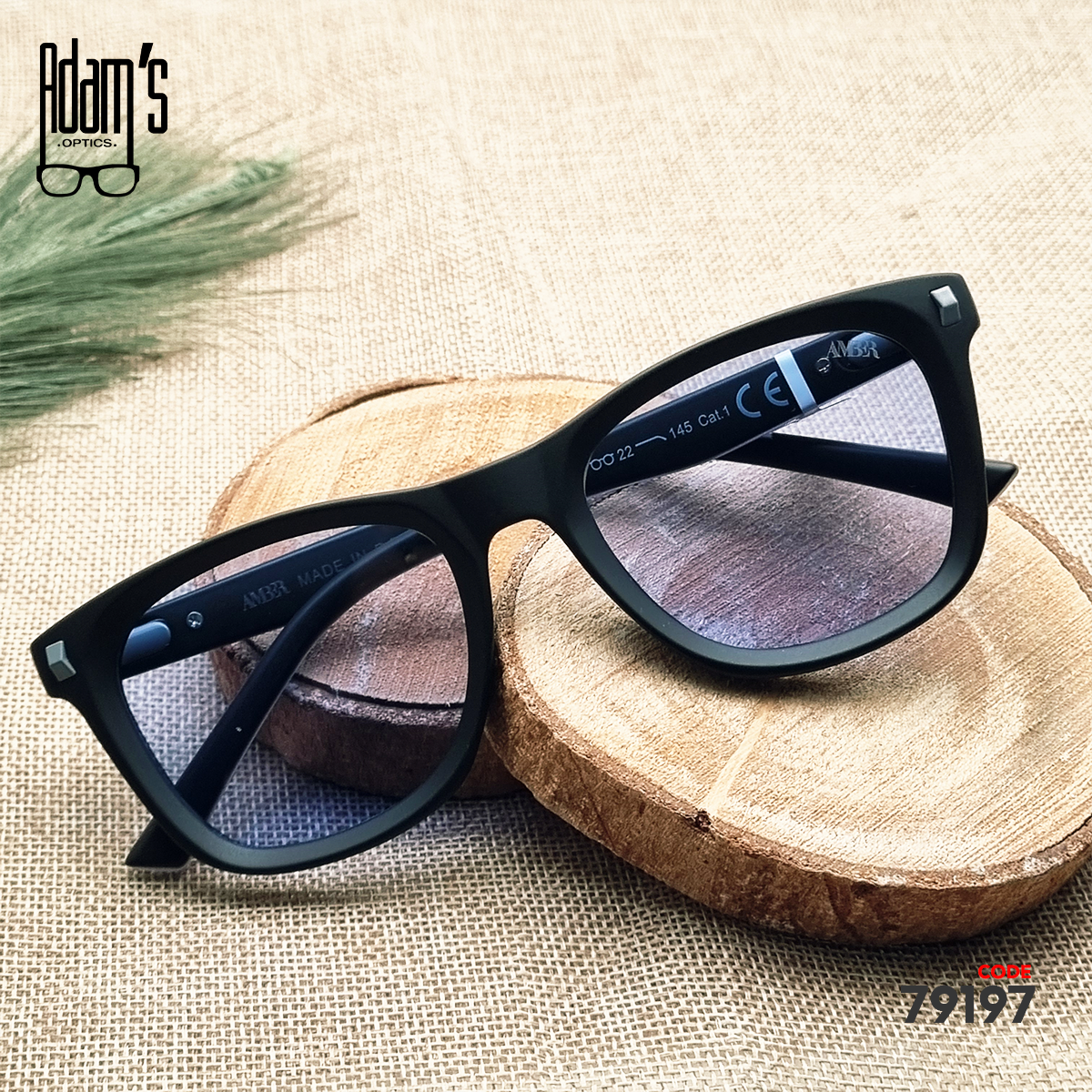 Amber 98122 Square Sunglasses