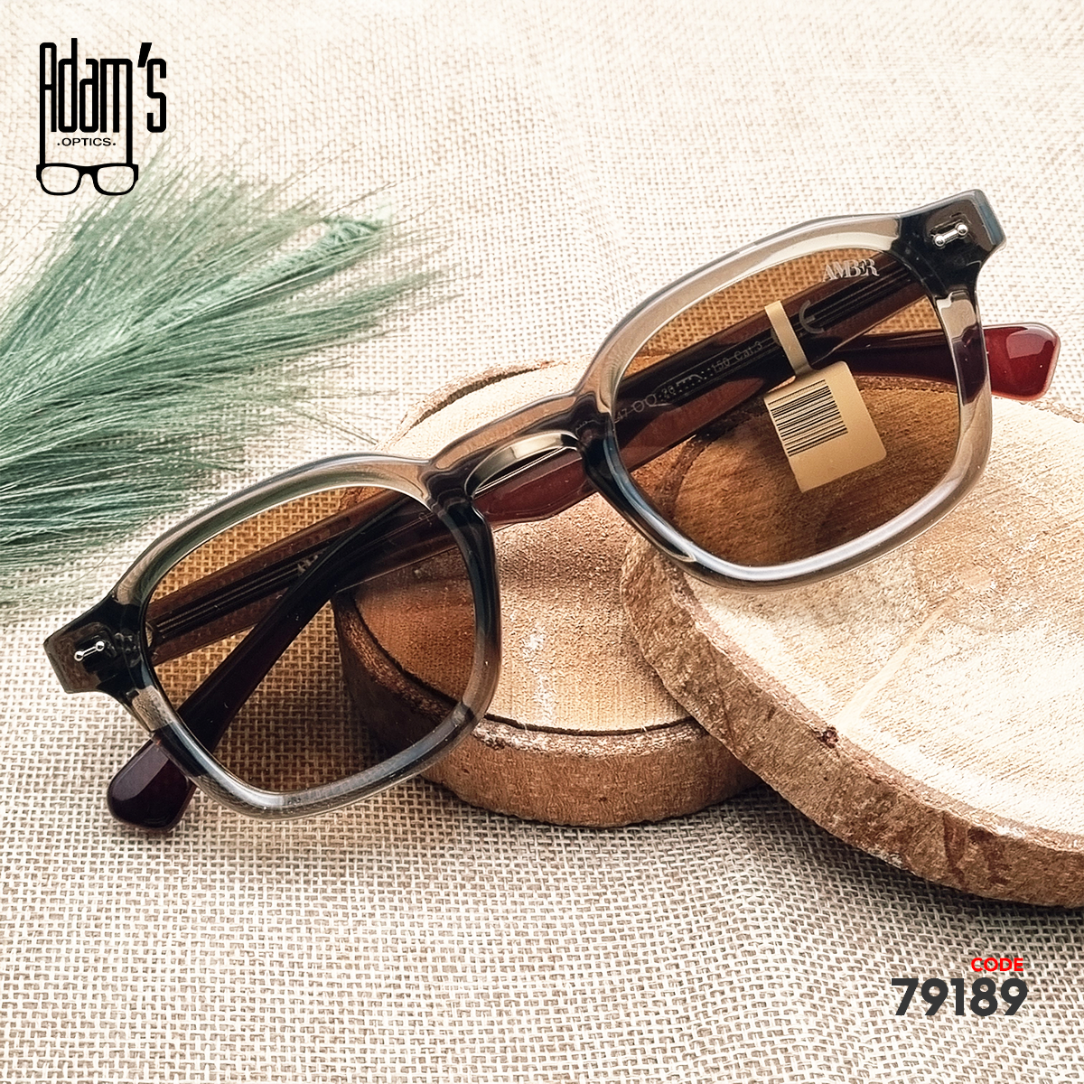 Amber 10830 Square Sunglasses
