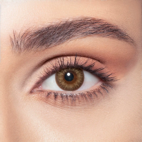 BELLA DAILY ALMOND BROWN