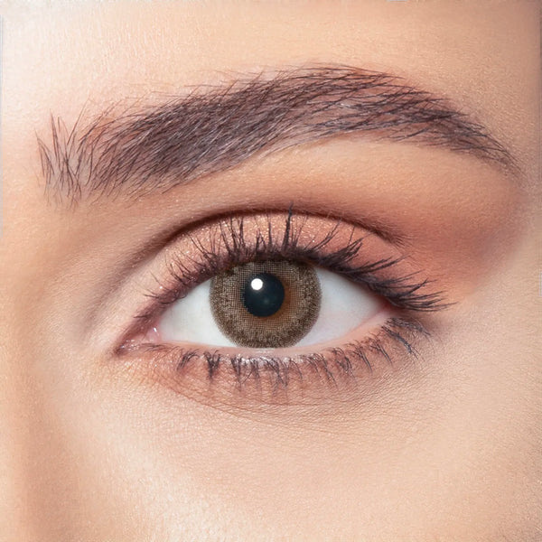 BELLA DAILY ASH BROWN