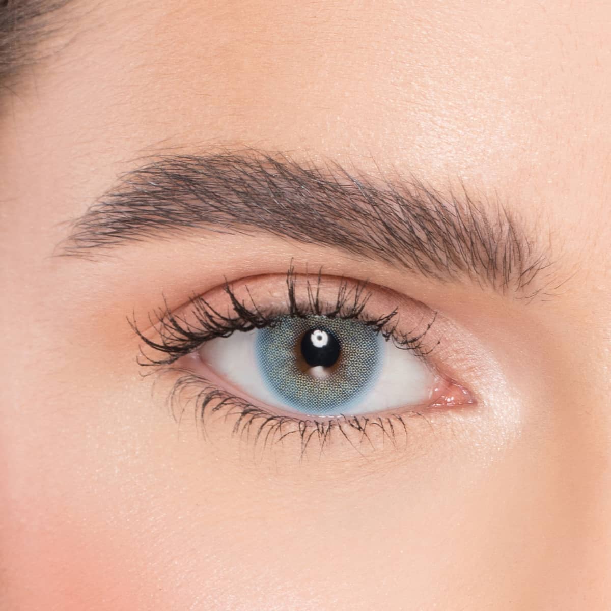 Naturél Monthly Coloured Contact Lenses