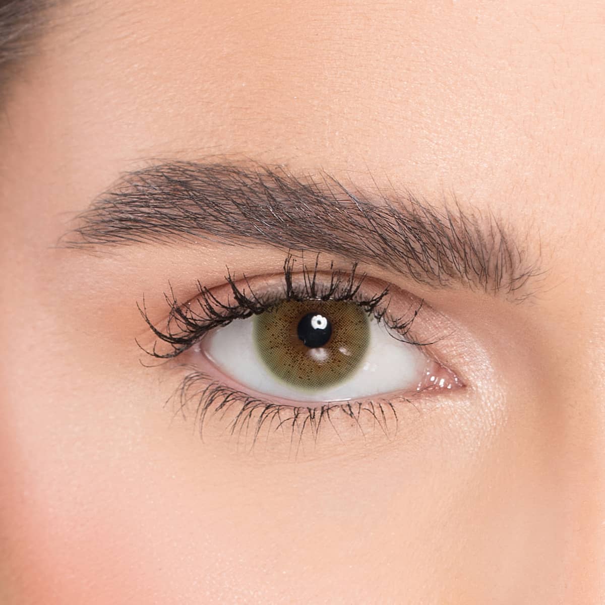 Naturél Monthly Coloured Contact Lenses
