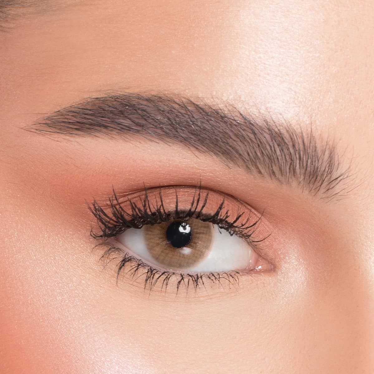 Naturél Monthly Coloured Contact Lenses