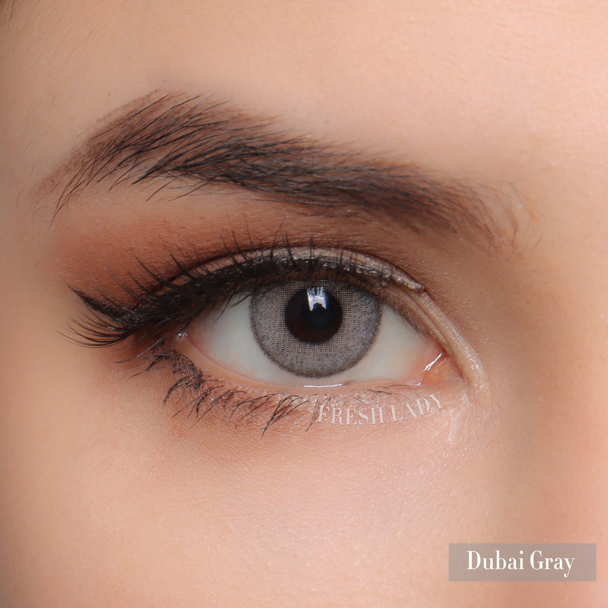 Fresh Lady Coloured Contact Lenses
