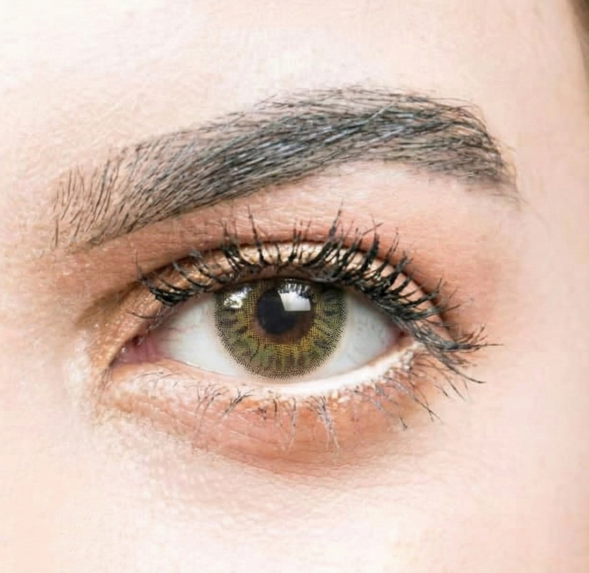 See Color Daily Coloured Contact Lenses