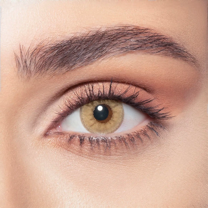 BELLA DAILY HAZEL BEIGE
