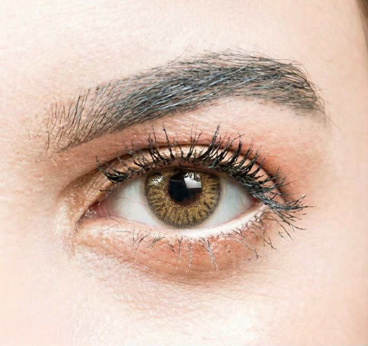 See Color Daily Coloured Contact Lenses