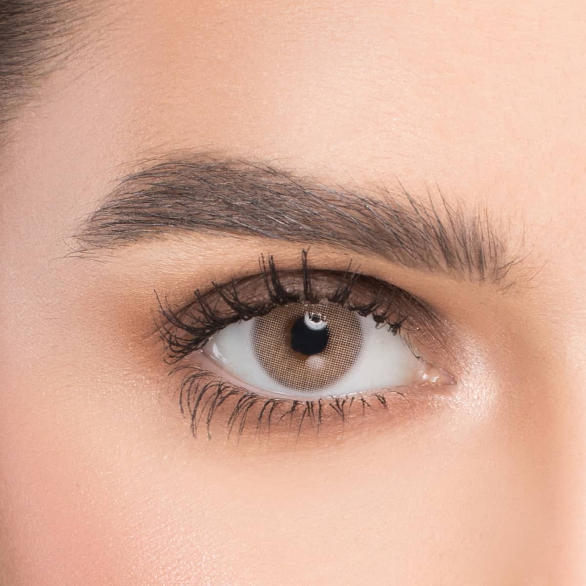 Naturél Monthly Coloured Contact Lenses