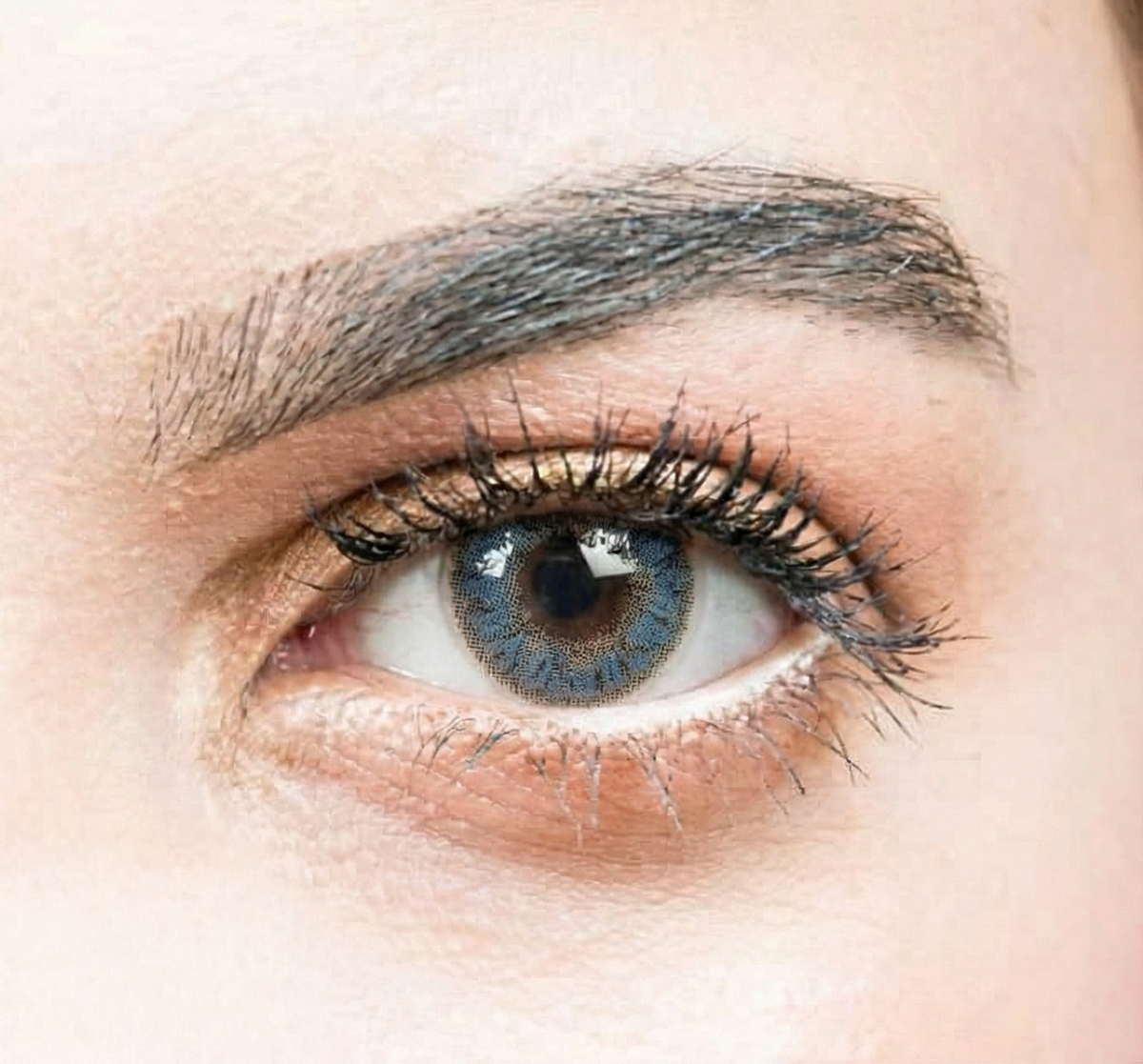 See Color Daily Coloured Contact Lenses