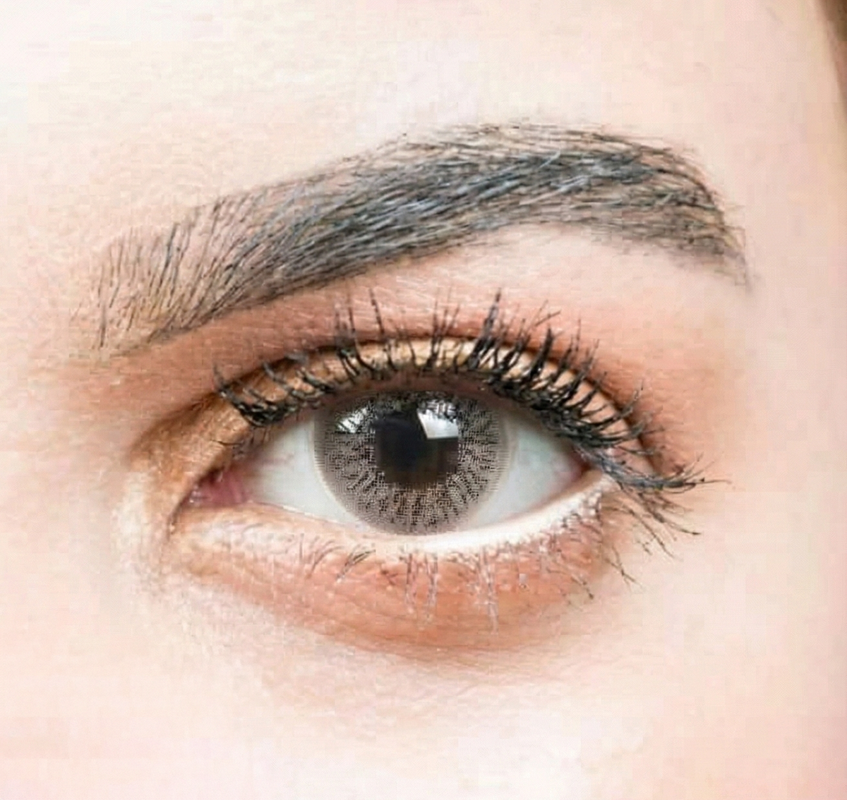 See Color Daily Coloured Contact Lenses