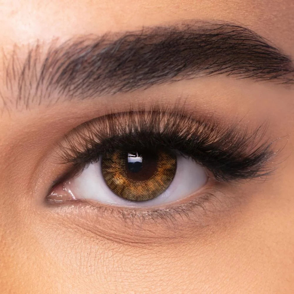 Freshlook Coloured Contact Lenses