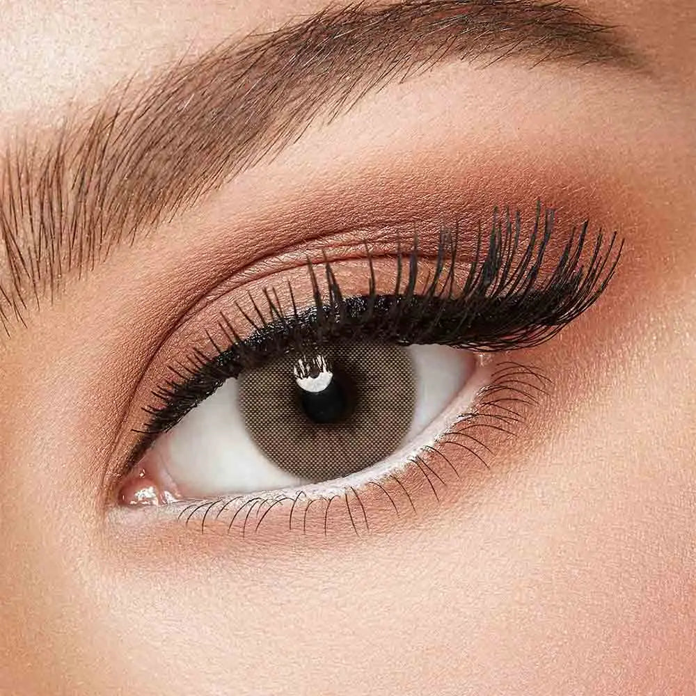 Fresh Lady Coloured Contact Lenses