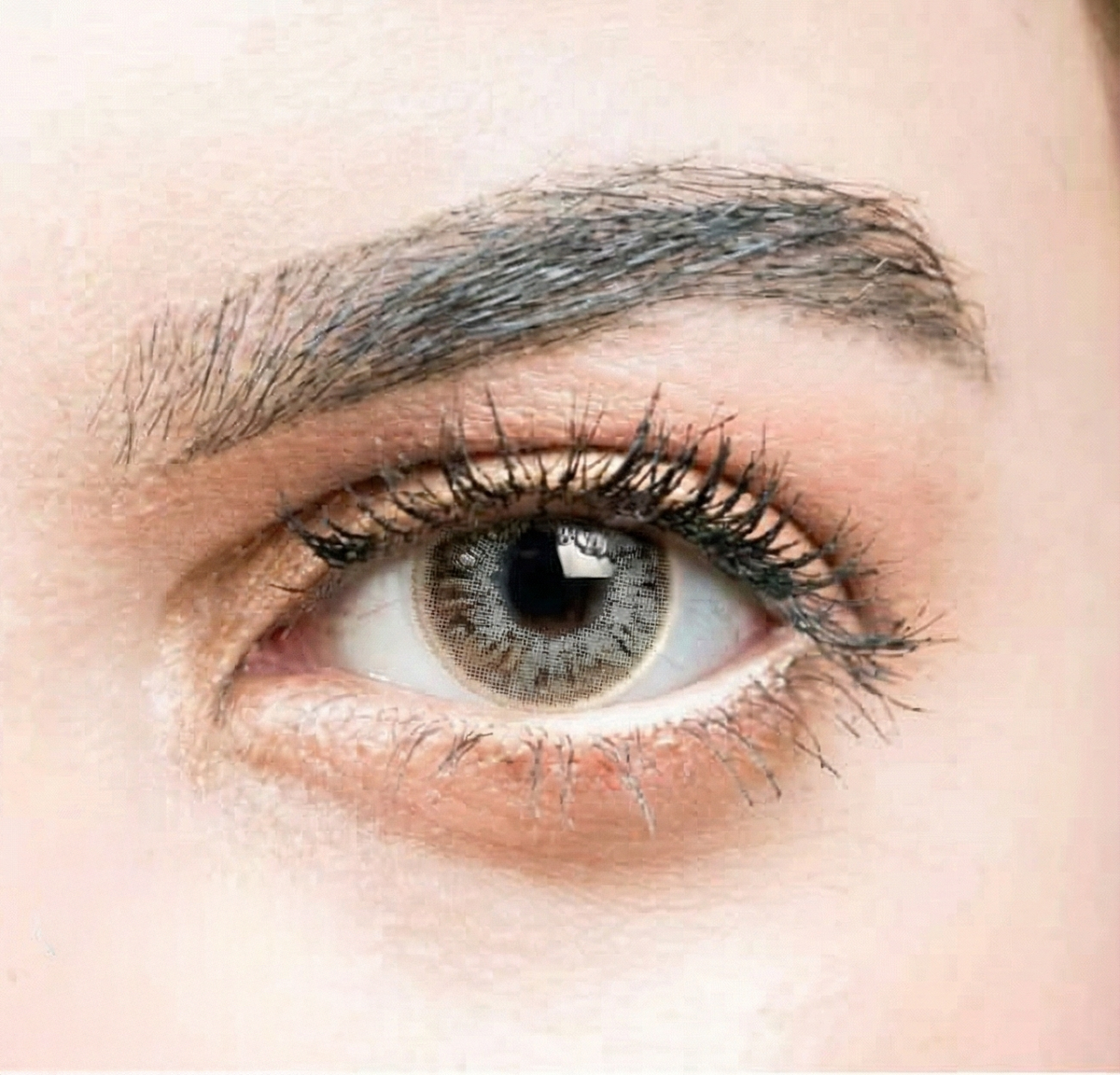 See Color Daily Coloured Contact Lenses